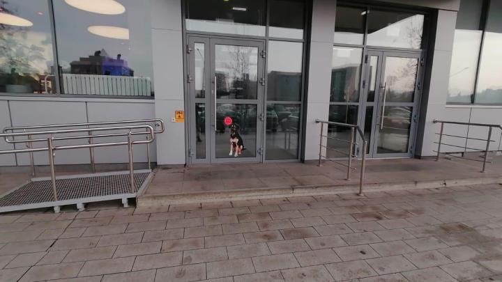 Входная группа